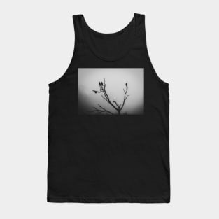 A perch in the mist Tank Top